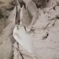 Рецепт папье-маше массы