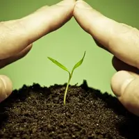 Защита растений от болезней