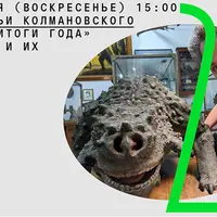 Научные итоги года