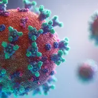 Медицинские итоги 2022 года