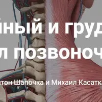 От анатомии к упражнениям. Шейный и грудной отдел позвоночника