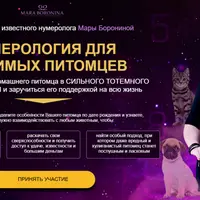 Нумерология для любимых питомцев