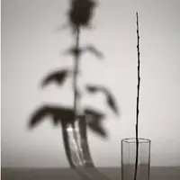 Прожить брошенность