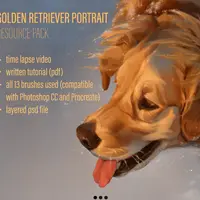 Учебник по портрету собаки и набор кистей