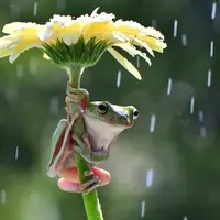 Весеннее настроение