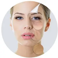 Анатомия старения