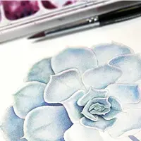 Акварельный интенсив "Каменная роза"