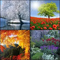 Цветотипы. Как найти и полюбить цвета своей внешности