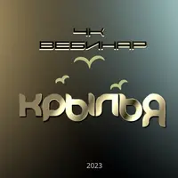 Вебинар 4К: Крылья