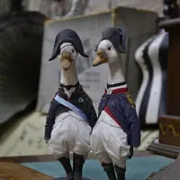 МК гусь и гусыня в стиле Джей Эйр и мистера Рочестера