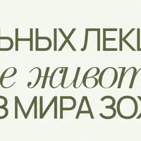 Вебинары PRO. Подписка на 3 месяца