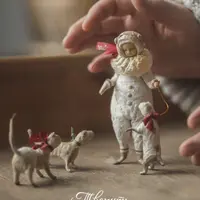 Дрессировщица собачек