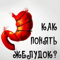 Читаем гастропанель