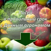 Когда посадить умно и красиво?! Календарный курс