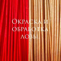 Окраска и обработка лозы