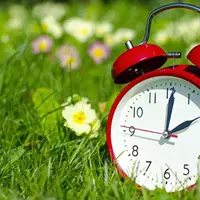 Как управлять своими биоритмами с помощью трав