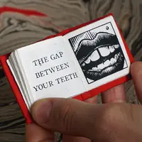 Крошечная книга. Переплет и иллюстрация