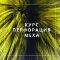 Перфорация меха