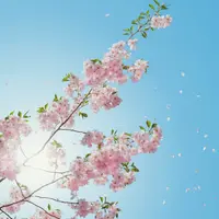 Здоровая весна