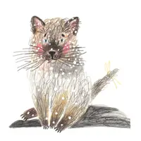 Домашние очаровашки