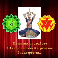Видеосистемы Внутреннего Сервиса. Практикум по работе с Сексуальными Энергиями