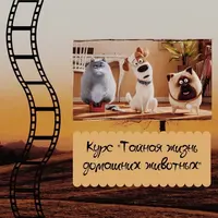 Курс по мультфильму "Тайная жизнь домашних животных"