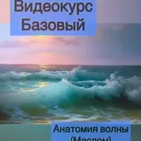Анатомия волны