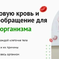 Как иметь здоровую кровь и улучшить кровообращение для здоровья всего организма