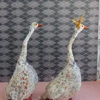 Гуси-Лебеди