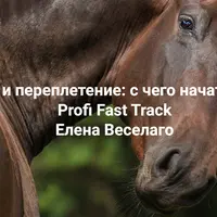 Травма и переплетение: с чего начать работу. Profi Fast Track