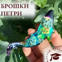 Брошки Петри