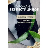 Урожай без пестицидов. Ваш экологичный огород