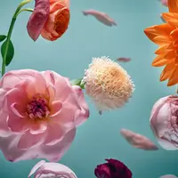 Зарабатывайте на стоках с помощью ИИ