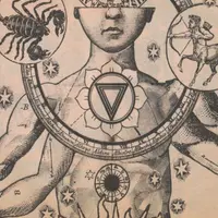 Нейрогимнастика мага. Уровень 1