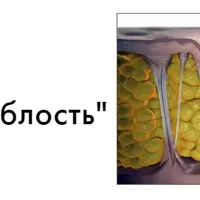 Тренерский журнал "Детали фитнеса". Выпуск №2. Целлюлит и дряблость