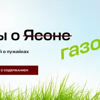 Мифы о газоне. 38 заблуждений о лужайках