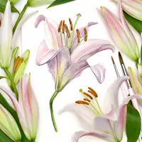 Реалистичная ботаника акварелью PRO