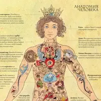 Оккультная анатомия. 4 часть: Позвоночник