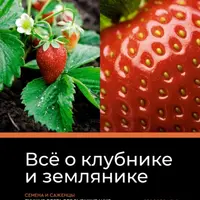 Всё о клубнике и землянике. Семена и саженцы. Лучшие сорта для выращивания. Календарь основных работ