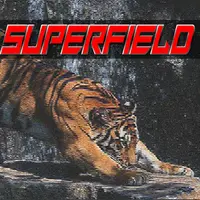 Нерушимая уверенность тигра