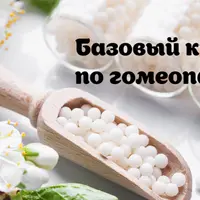 Базовый курс по гомеопатии