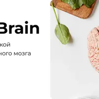 Bright Brain