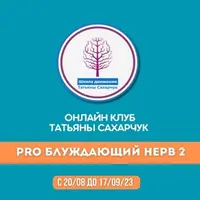 Восстановление здоровья. PRO Блуждающий нерв-2