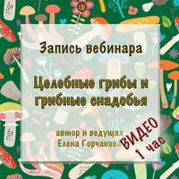 Целебные грибы и грибные снадобья