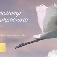 Перепросмотр внутриутробного периода