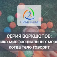 Психосоматика миофасциальных меридианов: Спиральная линия