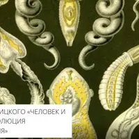 Происхождение малярии