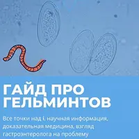 Гайд про гельминтов