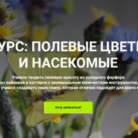 Полевые цветы и насекомые