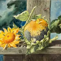 Подсолнухи акварелью